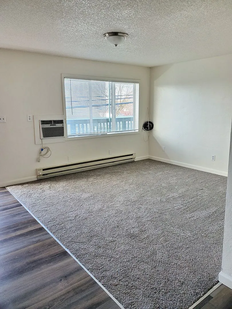 1 Bedroom Apartment — Photo 3