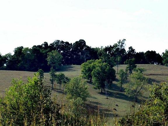 5th image of 2814-2818 Rhett Butler Dr