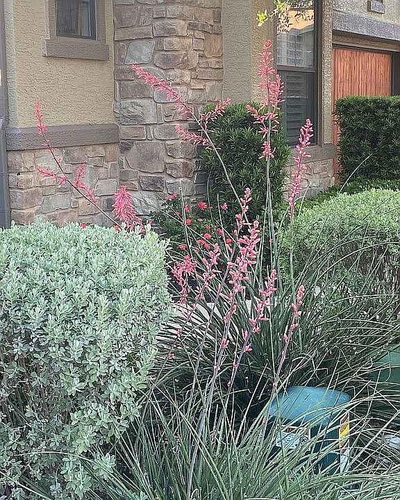 1st image of 4332 Teravista Club Dr Unit 22