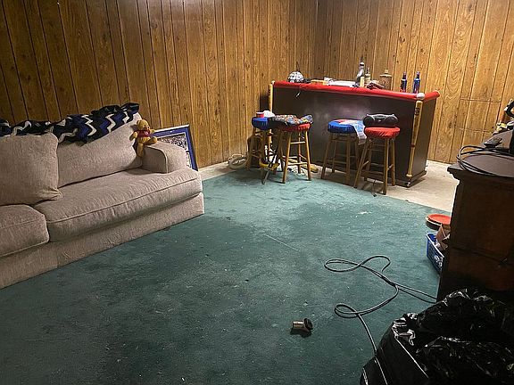 Basement entertainment area