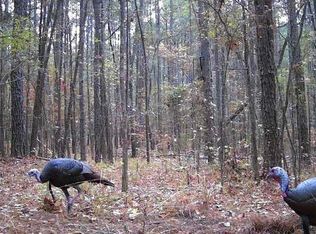 0 Clement Rd, Benton, LA 71006