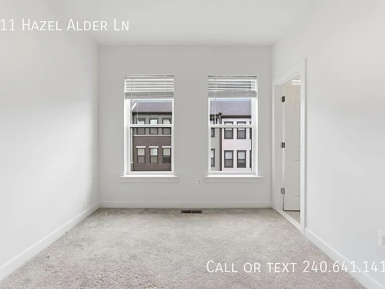 311 Hazel Alder Ln — Photo 16
