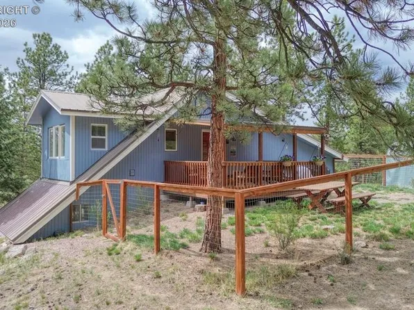 453 Black Fawn Ln #1247, Westcliffe, CO 81252