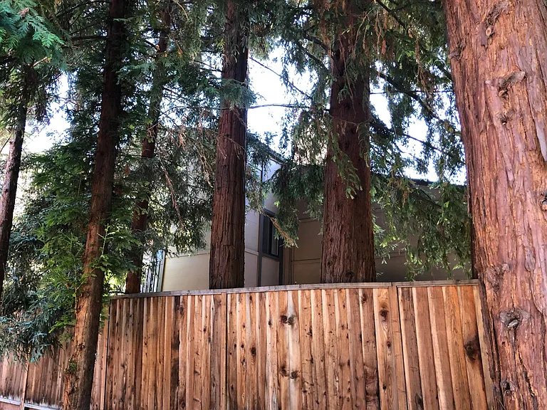 Unit's building is bordered by beautiful redwood trees, and community garden