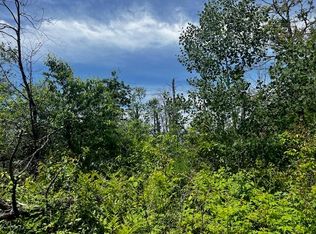 PARCEL 2 S Nelson Rd, Idlewild, MI 49642