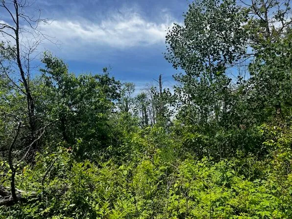 PARCEL 2 S Nelson Rd, Idlewild, MI 49642