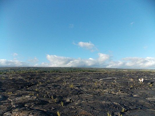 4th image of Pililani Lot 197