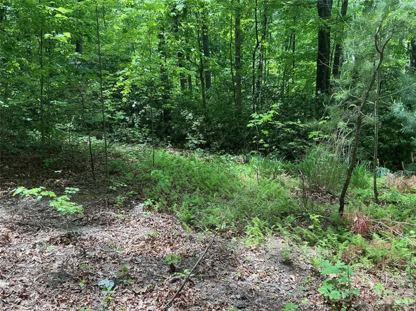 0 Green River Cove Rd, Saluda, NC 28773