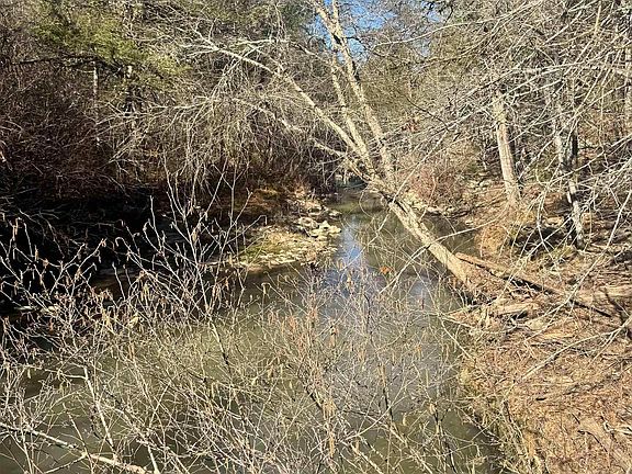 4th image of Polk Rd #147