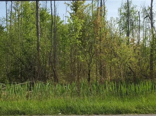 9881 Lapp Rd, Clarence Center, NY 14032