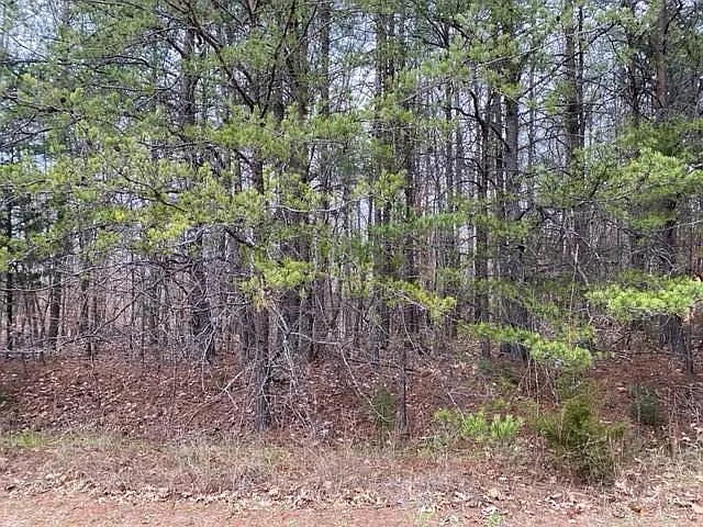 Tarragon Way Lot 22 photo 1