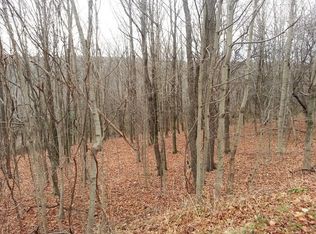 493 Oak Hill Rd, Binghamton, NY 13901