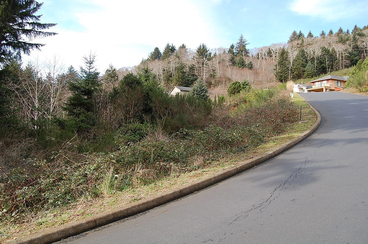 100 NE Spring Ave photo 1