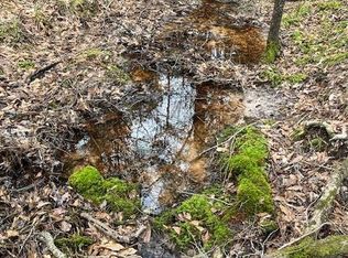 Off Of County Rd #2580, Colmesneil, TX 75938
