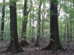 Cork Cold Springs Rd, Austinburg, OH 44010