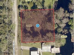 56290 Cherry Tree Rd, Astor, FL 32102