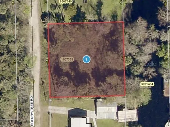56290 Cherry Tree Rd, Astor, FL 32102