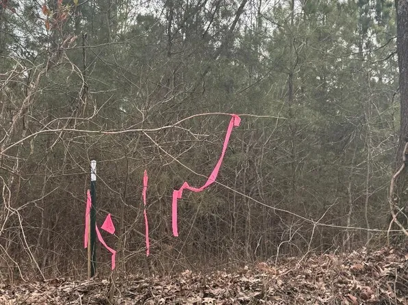 LOT 3 County Road 326, Jonesboro, AR 72401