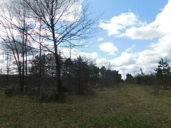 11029 W 34 1/2 Rd #4, Harrietta, MI 49638