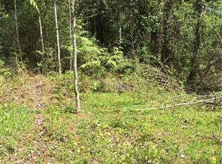 17045 Iceberg Rd, Glacier, WA 98244