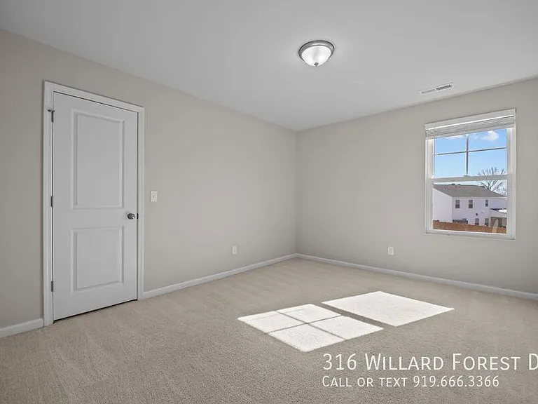 316 Willard Forest Dr — Photo 28