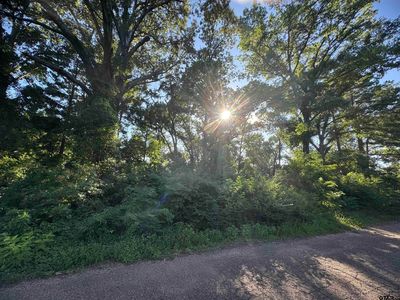 55 & 56 Hillside Dr, Tyler, TX, 75709