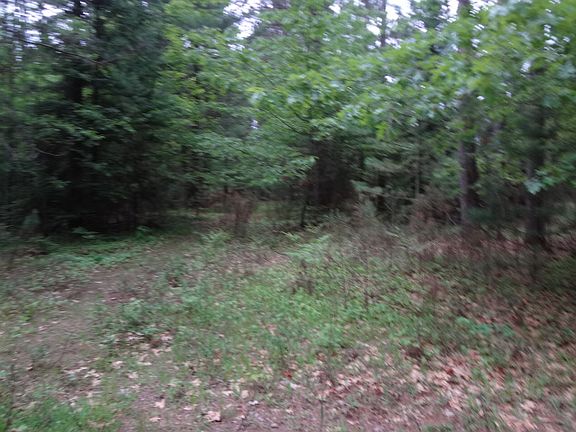 2nd image of Plantation Pines Dr