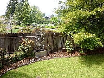 Back yard