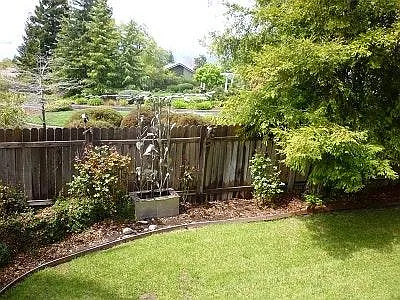 Back yard