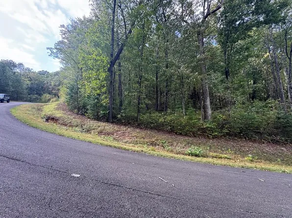 174 Trailwood Dr, Ellijay, GA 30536