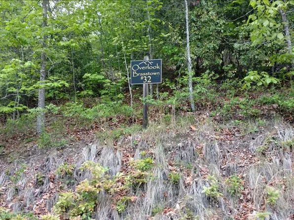 LOT 32 Brasstown Vw, Brasstown, NC 28902