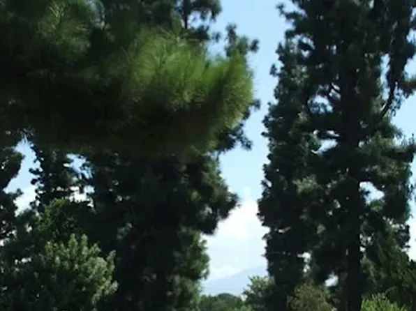 Pine Garden Apartments, 1775 E 20th St #C724274f4, San Bernardino, CA 92404