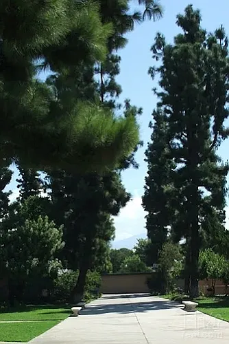 Pine Garden Apartments Photo 1