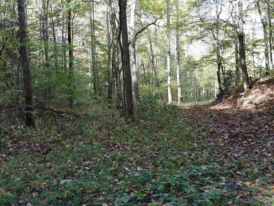 2nd image of Shady Springs Way
