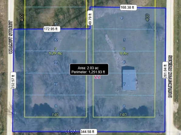 9 S Burlington Ave, Bellflower, MO 63333