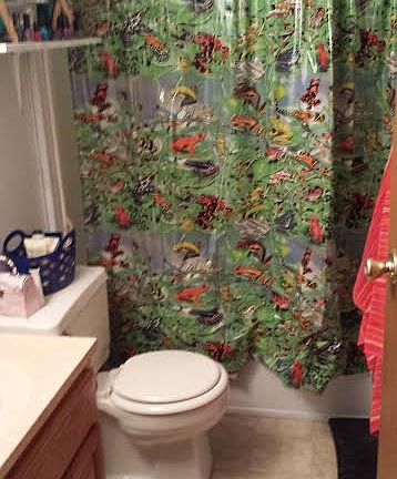 Hall bathroom 