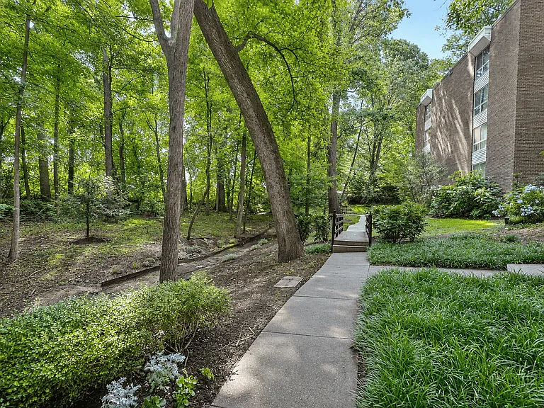 The Forest Apartments — Photo 37