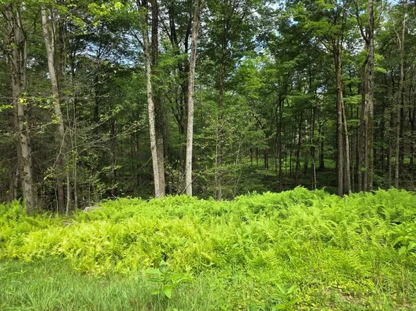 Gregory Road, Monticello, NY 12701