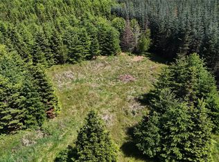 18820 Roseburg St SW, Rochester, WA 98579