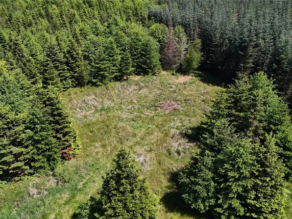 18820 Roseburg St SW, Rochester, WA 98579