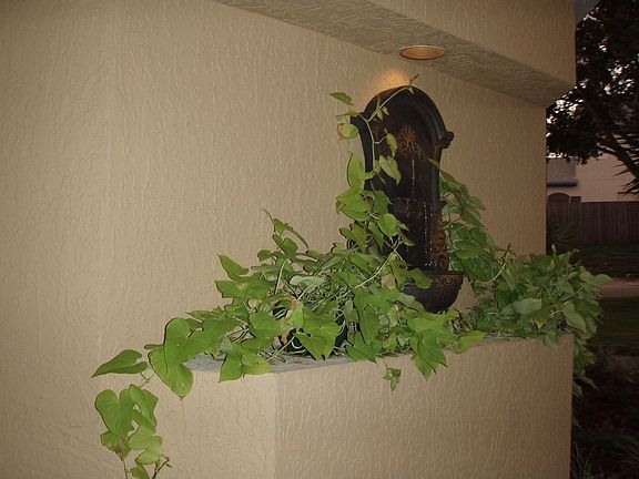 Entry area to Home