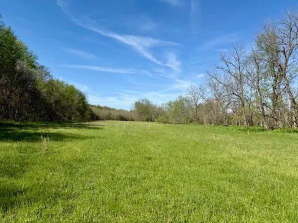 000 County Road 117, Ava, MO 65608