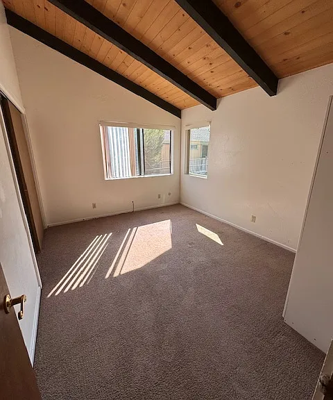 29641 Jamaica Dunes Dr — Photo 6