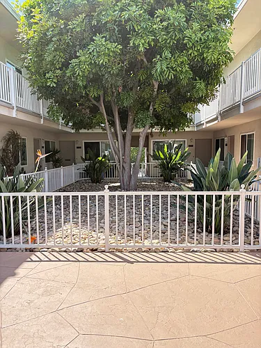 1731 1/2 Diamond St Photo 1