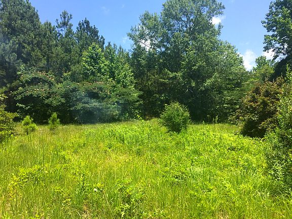 5th image of 36451 Highway 38