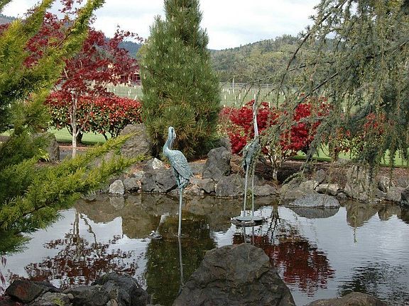 Water Feature