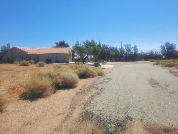 2nd image of Dogbane Ave