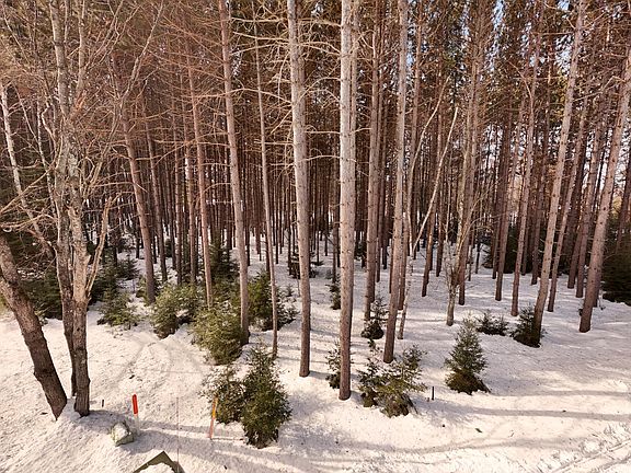 4th image of LOT 6 Bonkowski Rd