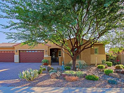 3313 E Aster Drive, Chandler, AZ, 85286