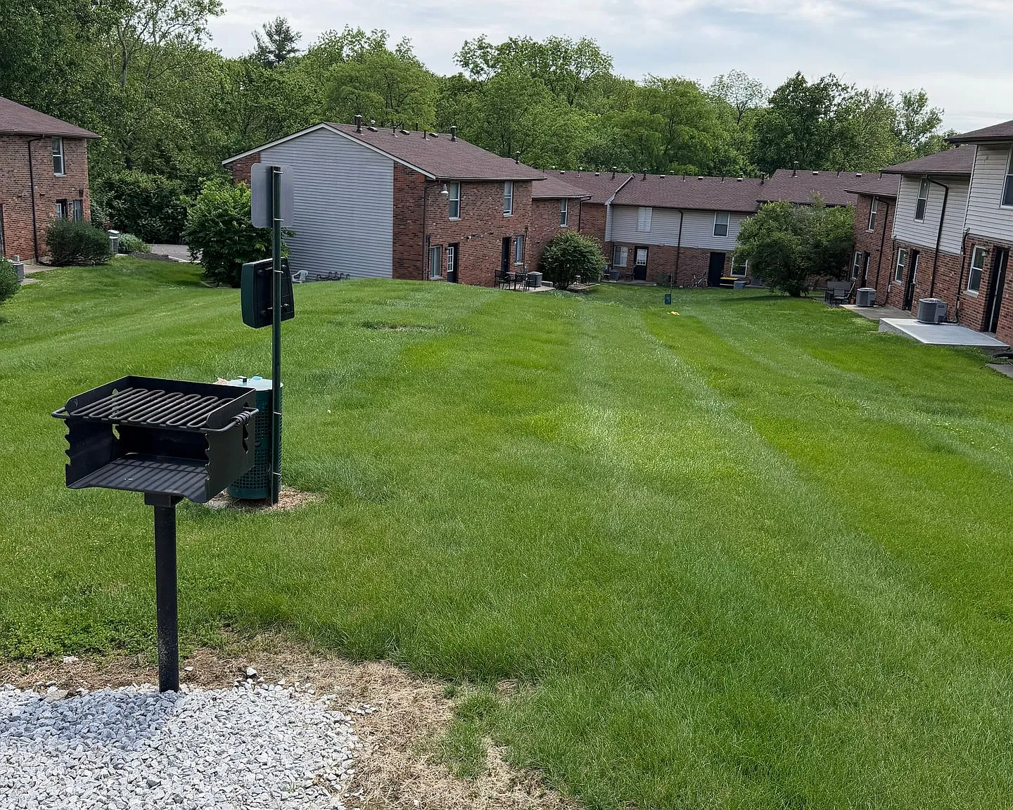 Steeplechase of Lebanon - STL — Photo 3